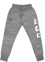 Big Boy Delaware State Hornets Ladies Jogger Sweatpants [Grey]