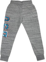 Big Boy Delaware State Hornets Ladies Jogger Sweatpants [Grey]