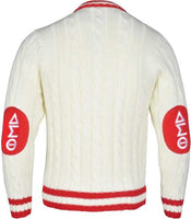 Buffalo Dallas Delta Sigma Theta V-Neck Sweater [Alabaster]