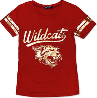 Big Boy Bethune-Cookman Wildcats S2 Ladies Jersey Tee [Maroon]