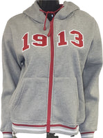 Buffalo Dallas Delta Sigma Theta 1913 Zip Hoodie [Grey]
