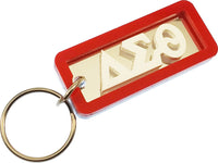 Delta Sigma Theta Mirror Rectangle Key Chain [Silver]