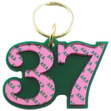 Alpha Kappa Alpha Color Mirror Line #37 Keychain [Green]