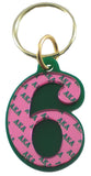 Alpha Kappa Alpha Color Mirror Line #6 Keychain [Green]