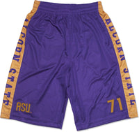 Big Boy Alcorn State Braves Mens Basketball Shorts [Purple]