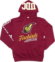 Big Boy District of Columbia Firebirds S3 Mens Hoodie [Crimson Red]