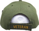 Desert Storm Iraqi Freedom Veteran Sandwich Bill Mens Cap [Olive Green]