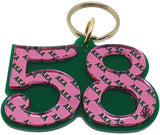 Alpha Kappa Alpha Color Mirror Line #58 Keychain [Green]