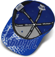 Big Boy Elizabeth City State Vikings S141 Mens Snapback Cap [Royal Blue]