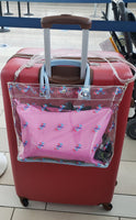 Buffalo Dallas Jack And Jill Of America Stadium Tote Bag [Clear]