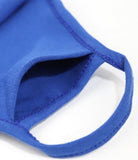 Big Boy Zeta Phi Beta Divine 9 Printed Face Mask w/Filter Pocket [Royal Blue]