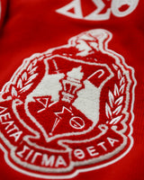 Big Boy Delta Sigma Theta Divine 9 S4 Ladies V-Neck Sweater [Red]
