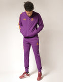 Big Boy Alcorn State Braves S4 Mens Jogging Suit Pants [Purple]