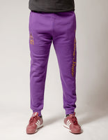 Big Boy Alcorn State Braves S2 Mens Jogger Sweatpants [Purple]
