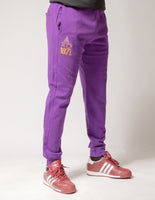 Big Boy Alcorn State Braves S2 Mens Jogger Sweatpants [Purple]