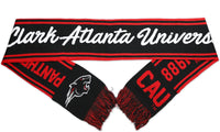 Big Boy Clark Atlanta Panthers S6 Knit Scarf [Black]