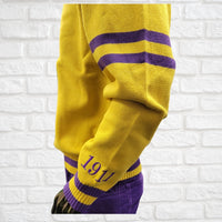 Buffalo Dallas Omega Psi Phi Chenille V-Neck Varsity Sweater [Gold]