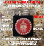 Delta Sigma Theta 22 Pearls Crest Lapel Pin [Silver]