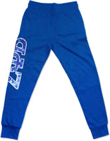 Big Boy Zeta Phi Beta Divine 9 S2 Sequin Womens Jogger Sweatpants [Royal Blue]