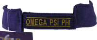 Buffalo Dallas Omega Psi Phi Visor [Purple]