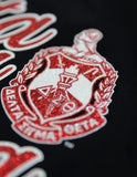 Big Boy Delta Sigma Theta Divine 9 S3 Long Sleeve Ladies Tee [Long Sleeve - Black]