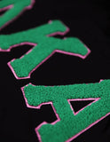 Big Boy Alpha Kappa Alpha Divine 9 S6 Ladies Pullover Hoodie [Black]