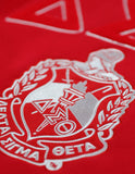 Big Boy Delta Sigma Theta Divine 9 S6 Ladies Pullover Hoodie [Red]
