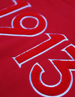 Big Boy Delta Sigma Theta Divine 9 S6 Ladies Pullover Hoodie [Red]