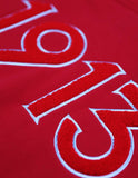 Big Boy Delta Sigma Theta Divine 9 S6 Ladies Pullover Hoodie [Red]