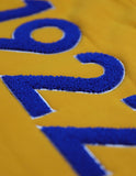 Big Boy Sigma Gamma Rho Divine 9 S6 Ladies Pullover Hoodie [Gold]