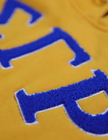 Big Boy Sigma Gamma Rho Divine 9 S6 Ladies Pullover Hoodie [Gold]