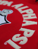 Big Boy Kappa Alpha Psi Divine 9 S6 Pullover Mens Hoodie [Crimson Red]