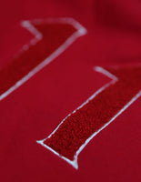 Big Boy Kappa Alpha Psi Divine 9 S6 Pullover Mens Hoodie [Crimson Red]