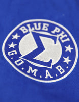 Big Boy Phi Beta Sigma Divine 9 S11 Mens Racing Twill Jacket [Royal Blue]