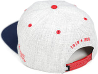 Big Boy Detroit Stars S141 Mens Snapback Cap [Grey]