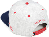 Big Boy Detroit Stars S141 Mens Snapback Cap [Grey]