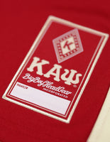 Big Boy Kappa Alpha Psi Divine 9 S15 Mens Football Jersey [Crimson Red]
