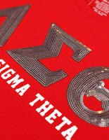 Big Boy Delta Sigma Theta Divine 9 Sequin Patch Ladies Tee [Red]