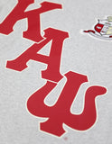 Big Boy Kappa Alpha Psi Divine 9 S16 Graphic Mens Tee [Grey]