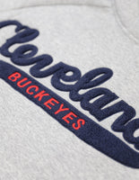 Big Boy Cleveland Buckeyes Heritage Mens Hoodie [Grey]