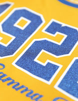 Big Boy Sigma Gamma Rho Divine 9 S4 Long Sleeve Tee [Gold]