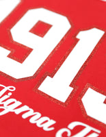 Big Boy Delta Sigma Theta Divine 9 S4 Long Sleeve Tee [Red]