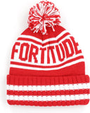Big Boy Delta Sigma Theta Divine 9 S252 Womens Beanie With Ball [White]