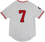 Big Boy Philadelphia Stars S2 Heritage Mens Baseball Jersey [Grey]