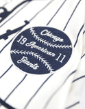 Big Boy Chicago American Giants S2 Heritage Mens Baseball Jersey [Ivory White]