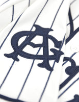 Big Boy Chicago American Giants S2 Heritage Mens Baseball Jersey [Ivory White]