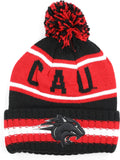 Big Boy Clark Atlanta Panthers S254 Beanie With Ball [Black]