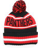 Big Boy Clark Atlanta Panthers S254 Beanie With Ball [Black]