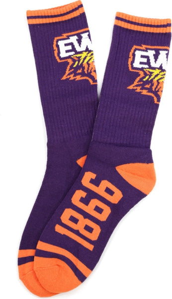 Big Boy Edward Waters Tigers S5 Mens Athletic Socks [Purple]