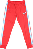 Big Boy Delaware State Hornets S6 Mens Jogging Suit Pants [Red]